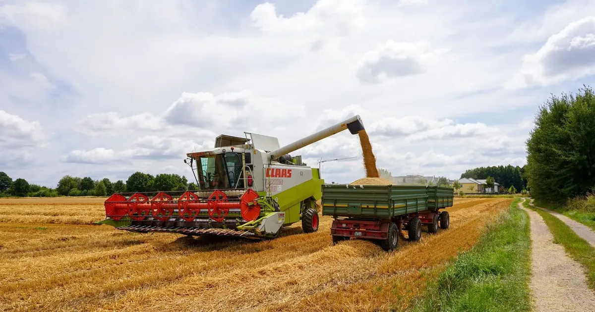 Žně, kombajn a traktor na poli