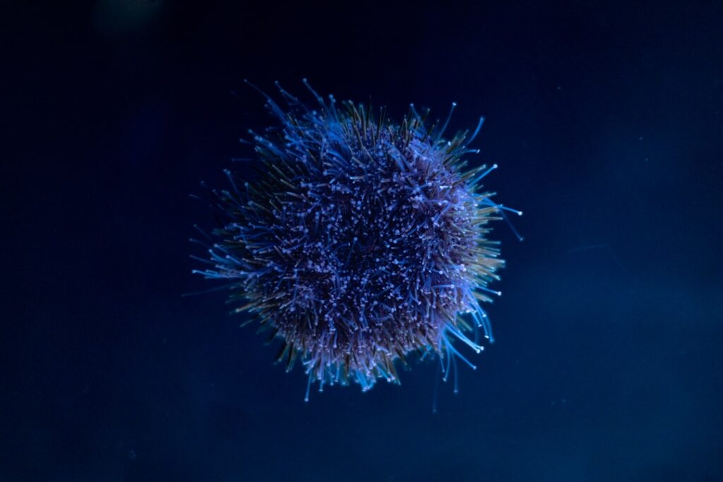 Hantavirus pod mikroskopem - virová infekce 2026